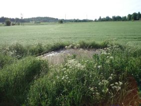 Siltaa myöten
