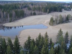 Vetinen pelto