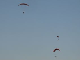 Paramotoristit