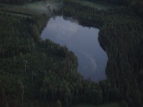 Sumua
