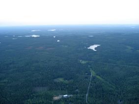Laajat metsät