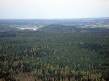 Salminvuori
