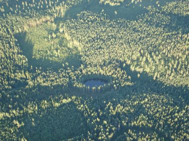Metsälampi